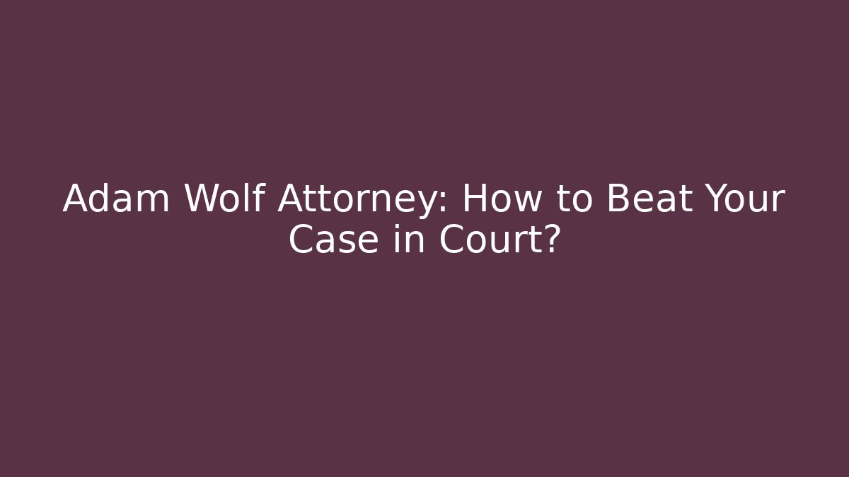 Adam Wolf Attorney: How to Beat Your Case in Court?