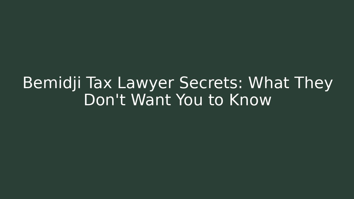 Bemidji Tax Lawyer Secrets: What They Don't Want You to Know