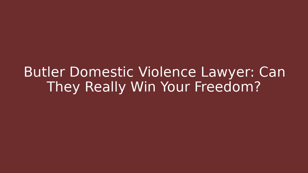 Butler Domestic Violence Lawyer: Can They Really Win Your Freedom?