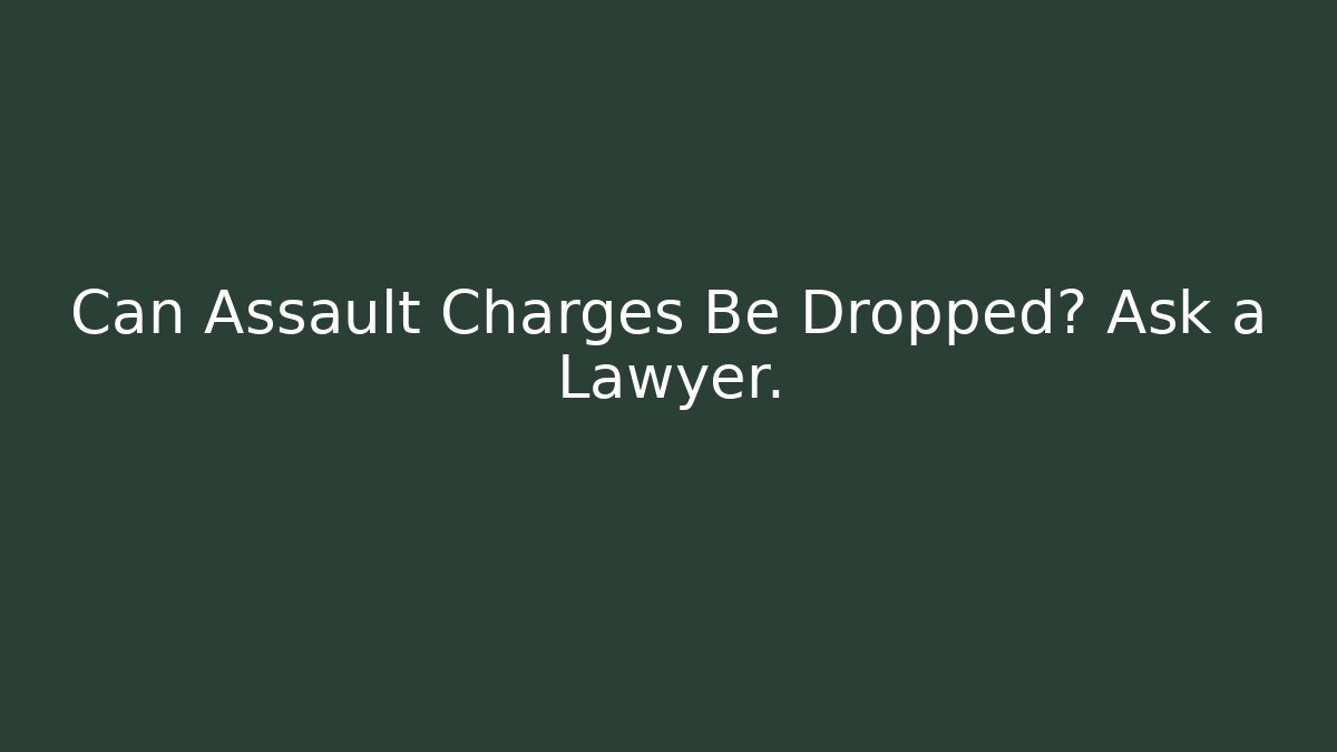 Can Assault Charges Be Dropped? Ask a Lawyer.