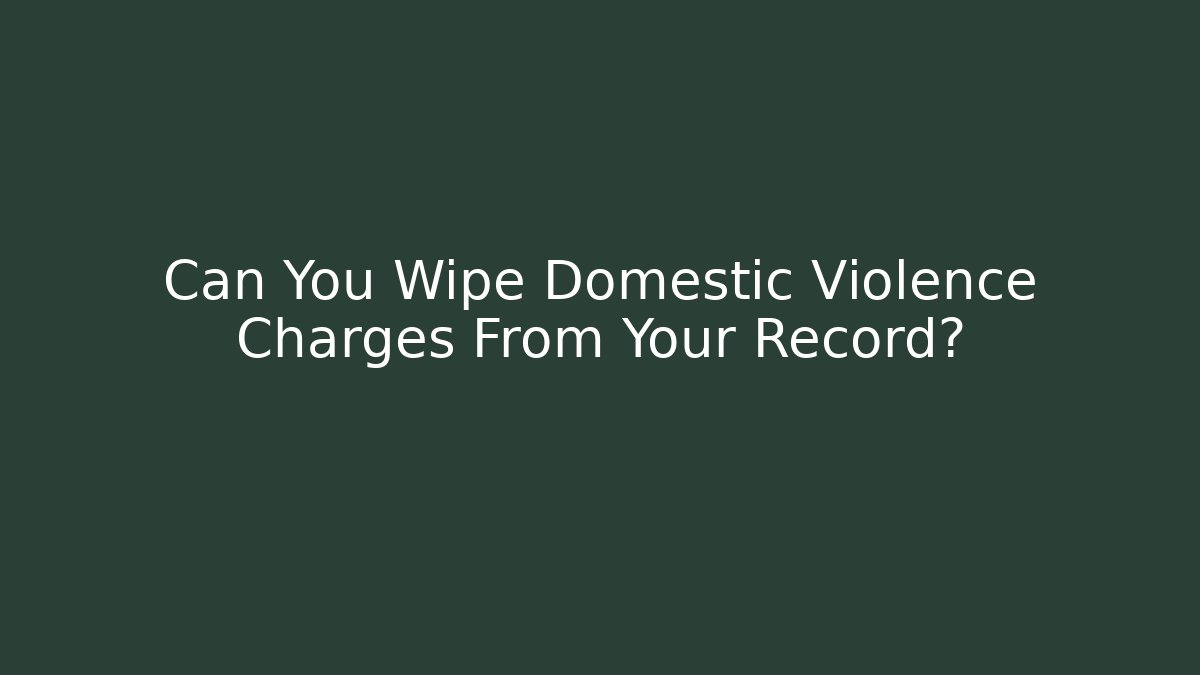 Can You Wipe Domestic Violence Charges From Your Record?