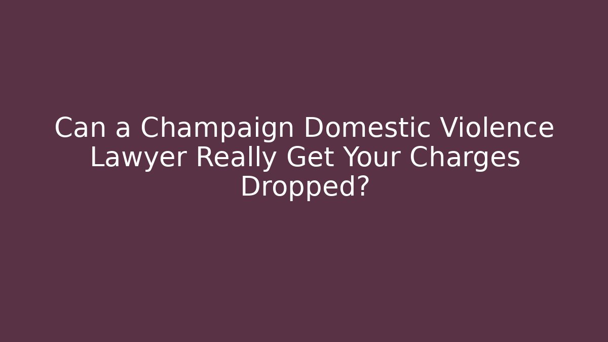 Can a Champaign Domestic Violence Lawyer Really Get Your Charges Dropped?