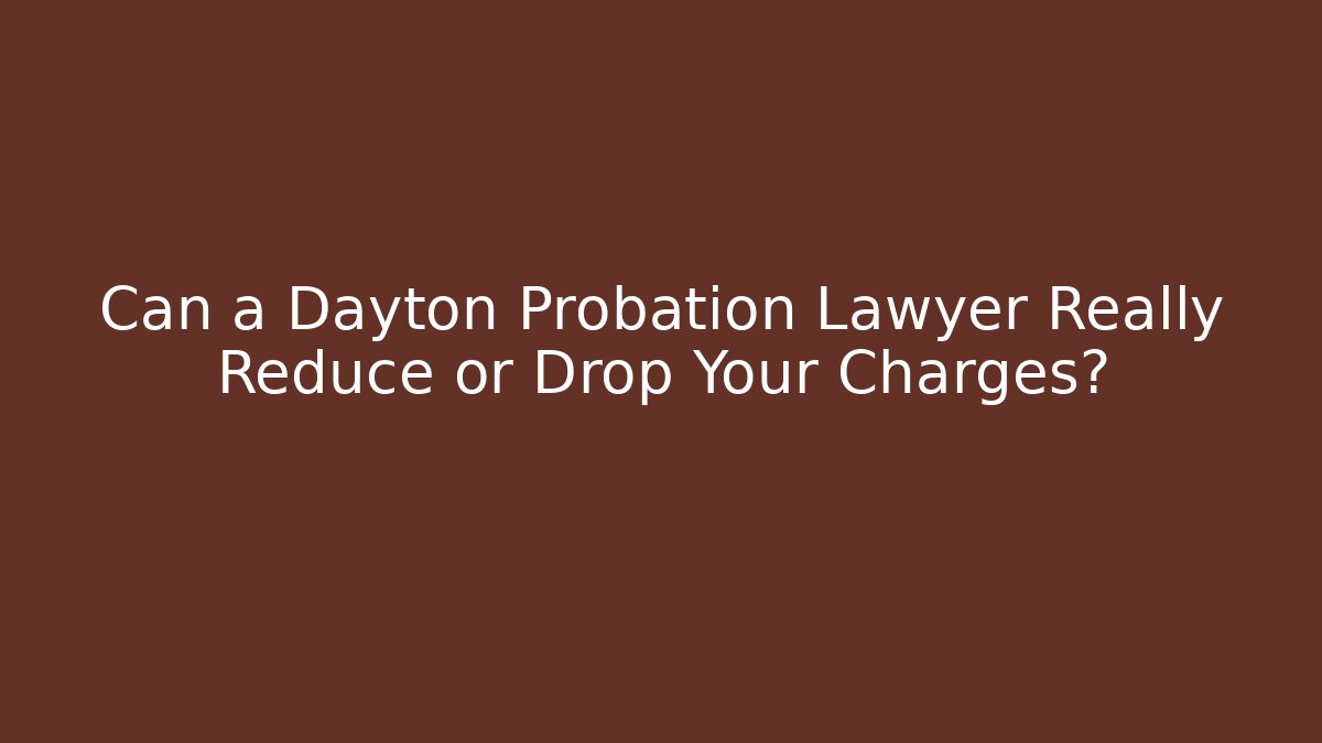 Can a Dayton Probation Lawyer Really Reduce or Drop Your Charges? - WealthxGroup