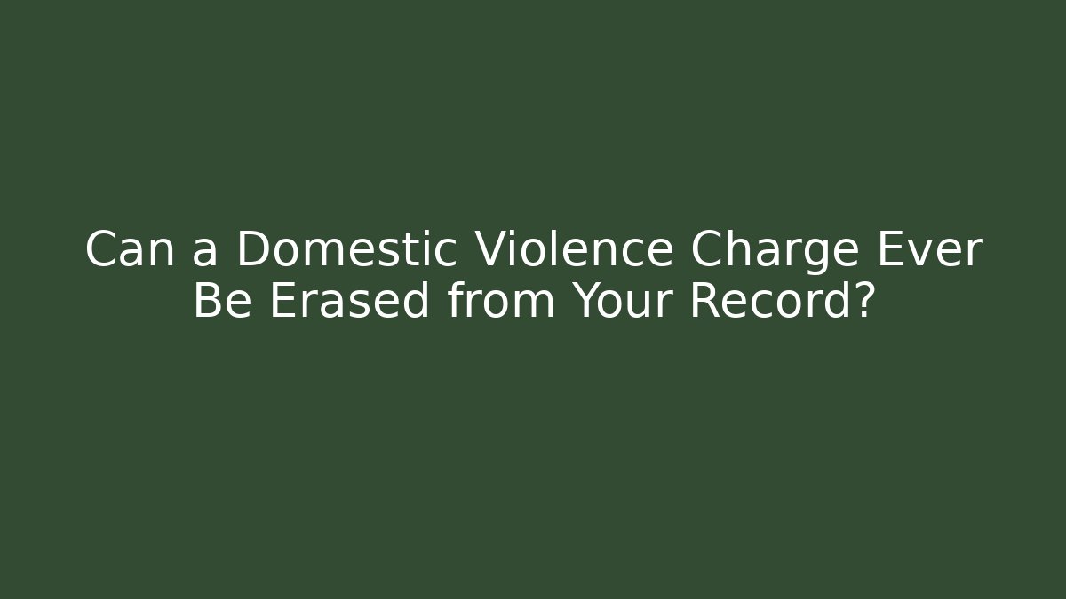 Can a Domestic Violence Charge Ever Be Erased from Your Record?