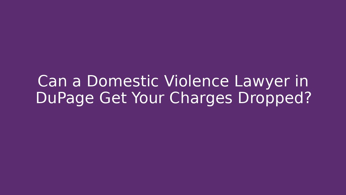 Can a Domestic Violence Lawyer in DuPage Get Your Charges Dropped?