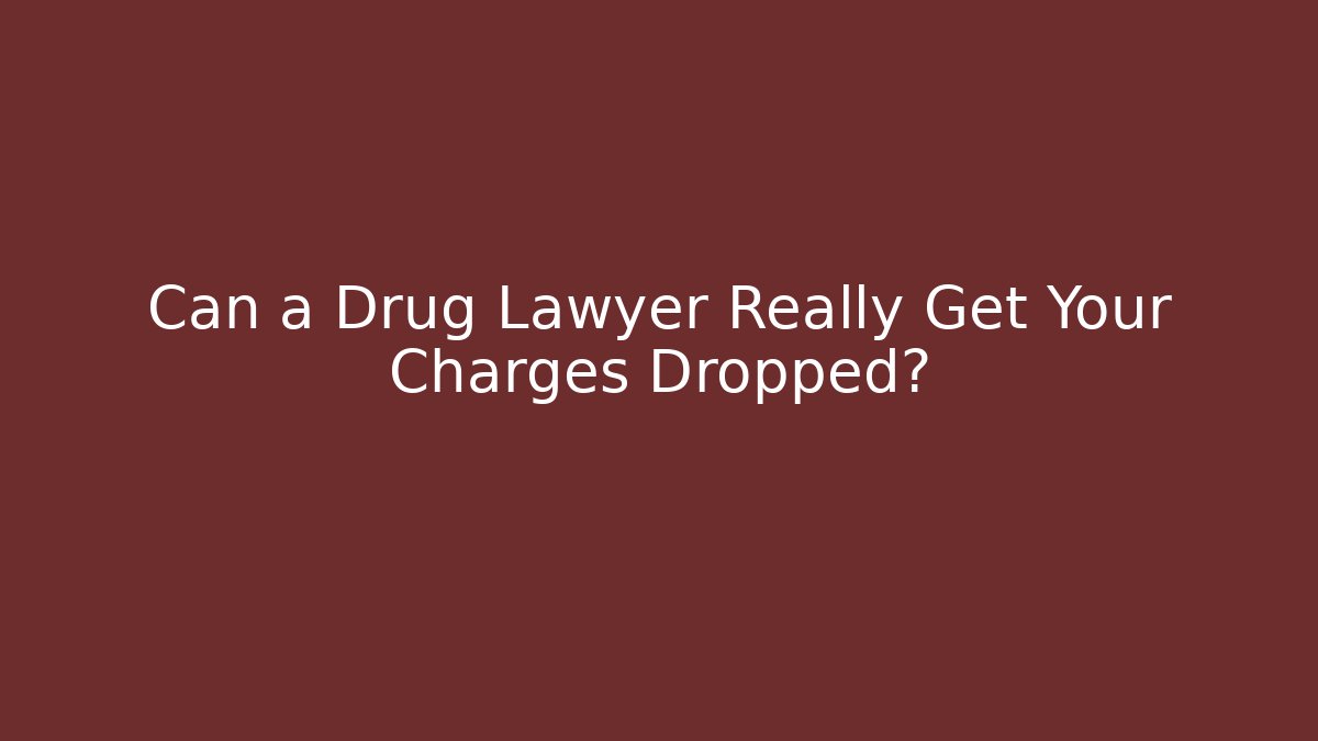 Can a Drug Lawyer Really Get Your Charges Dropped?