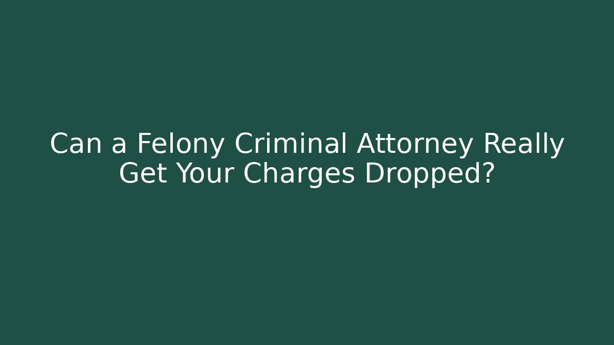 Can a Felony Criminal Attorney Really Get Your Charges Dropped?