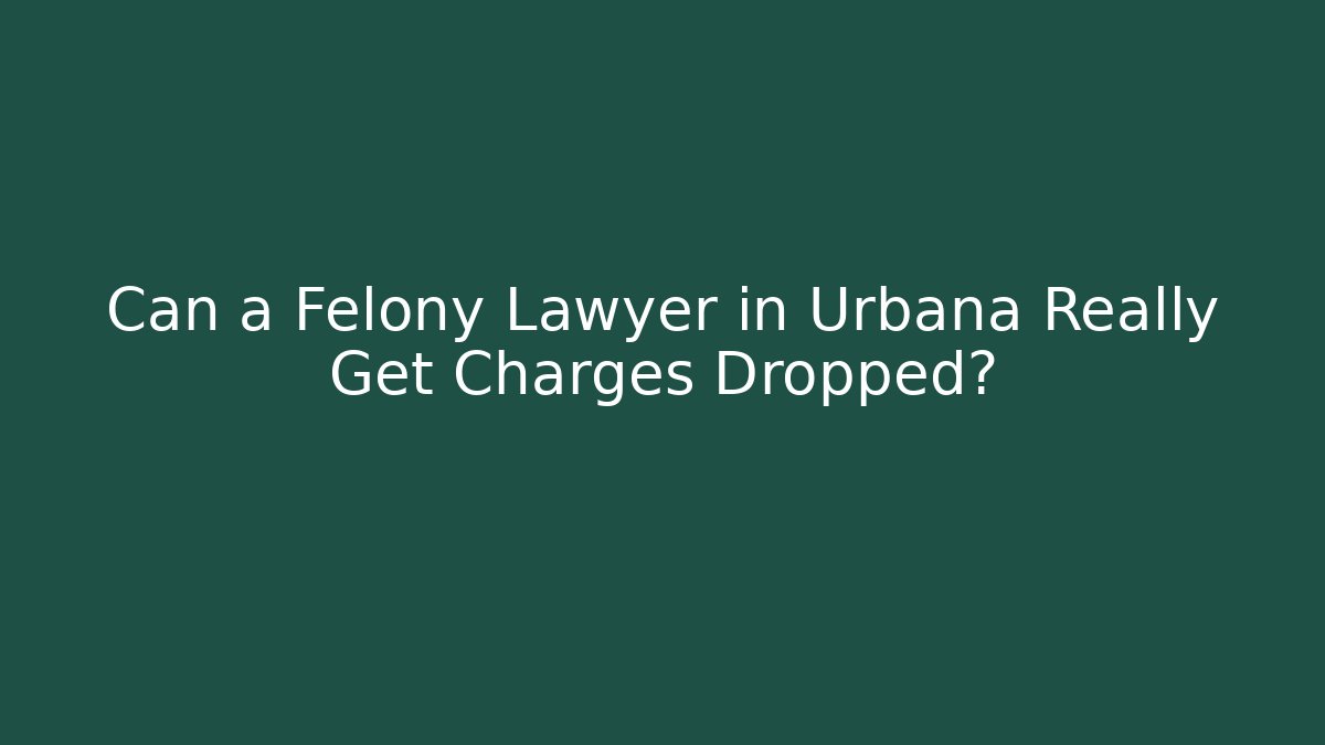 Can a Felony Lawyer in Urbana Really Get Charges Dropped?