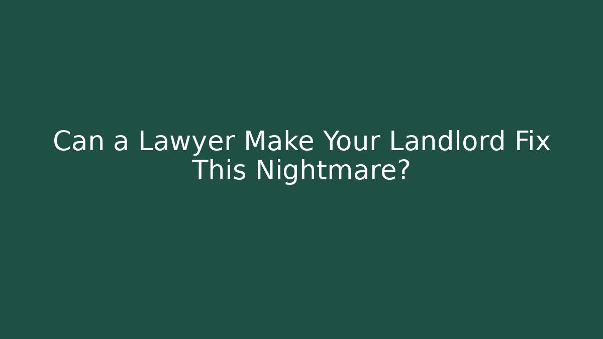 Can a Lawyer Make Your Landlord Fix This Nightmare?