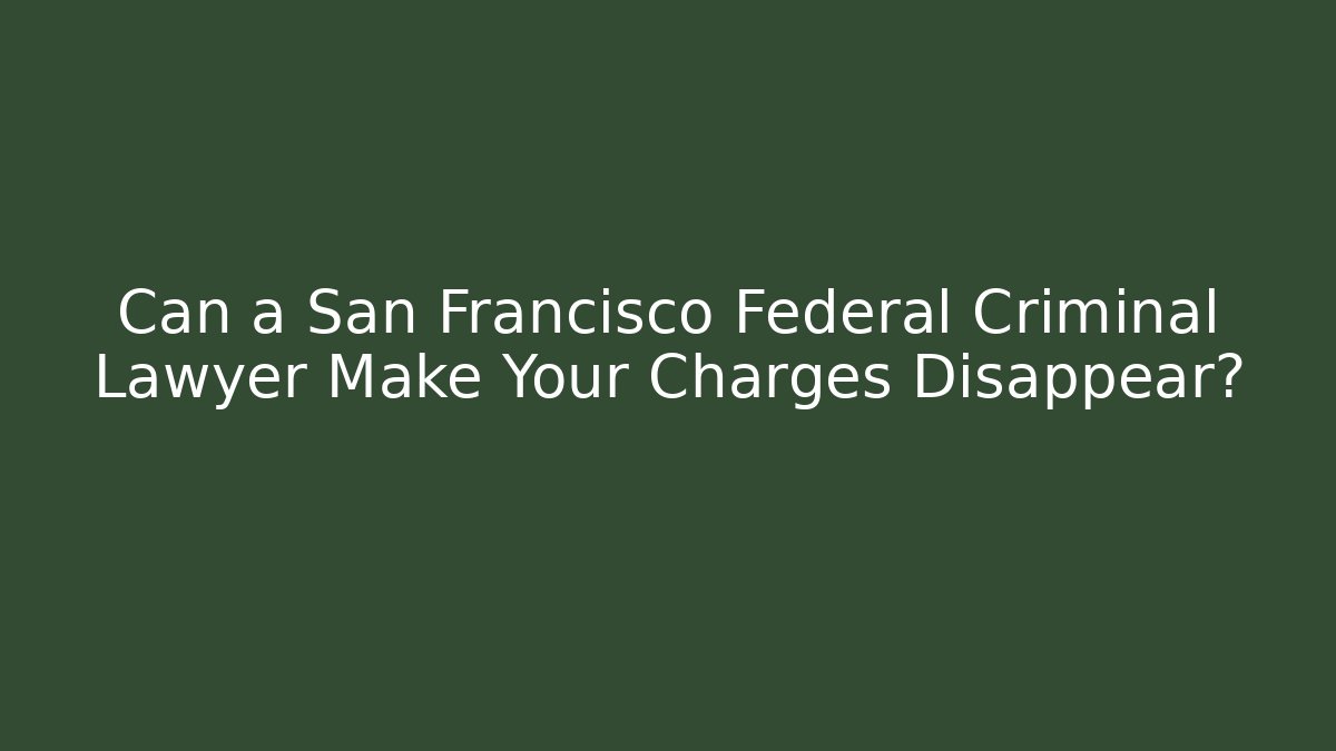 Can a San Francisco Federal Criminal Lawyer Make Your Charges Disappear?