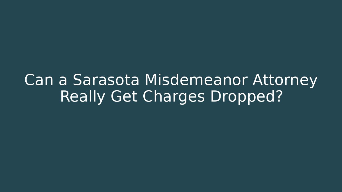 Can a Sarasota Misdemeanor Attorney Really Get Charges Dropped?