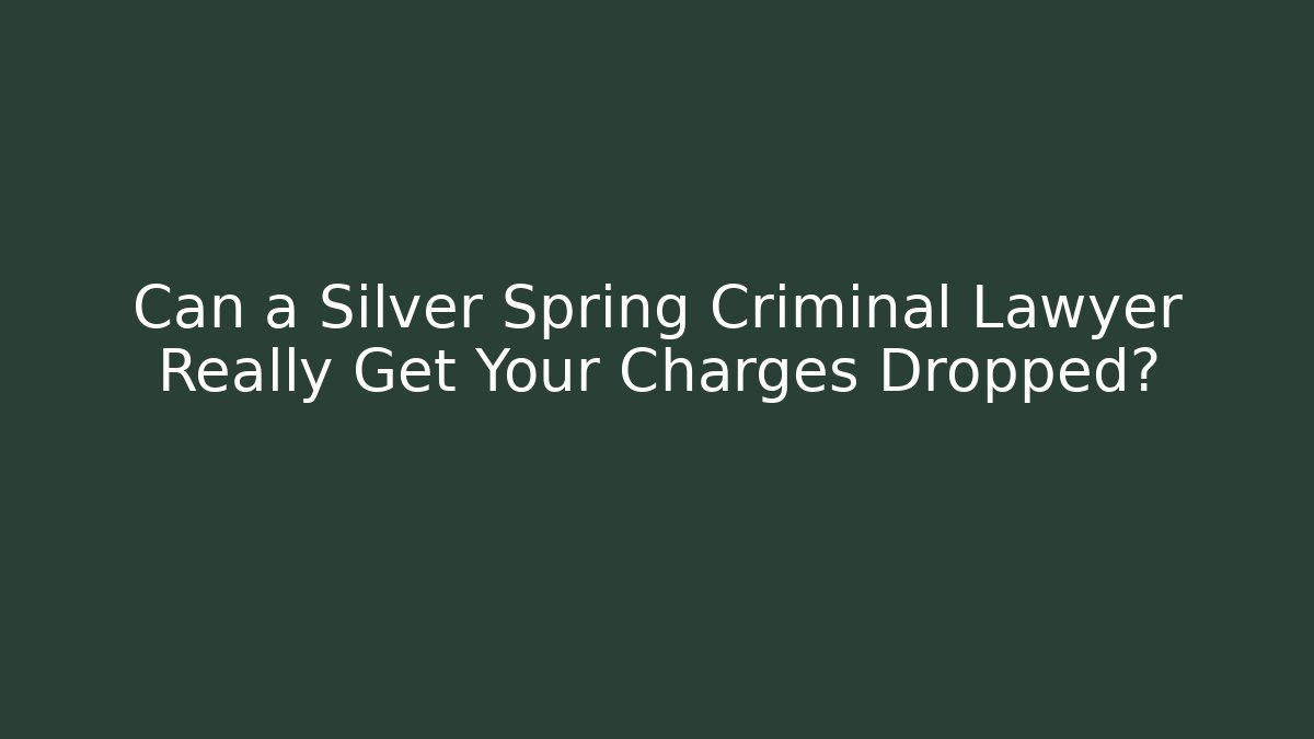 Can a Silver Spring Criminal Lawyer Really Get Your Charges Dropped?