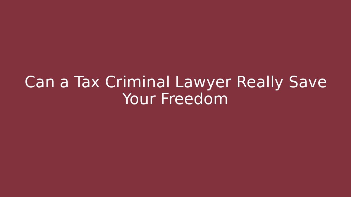Can a Tax Criminal Lawyer Really Save Your Freedom