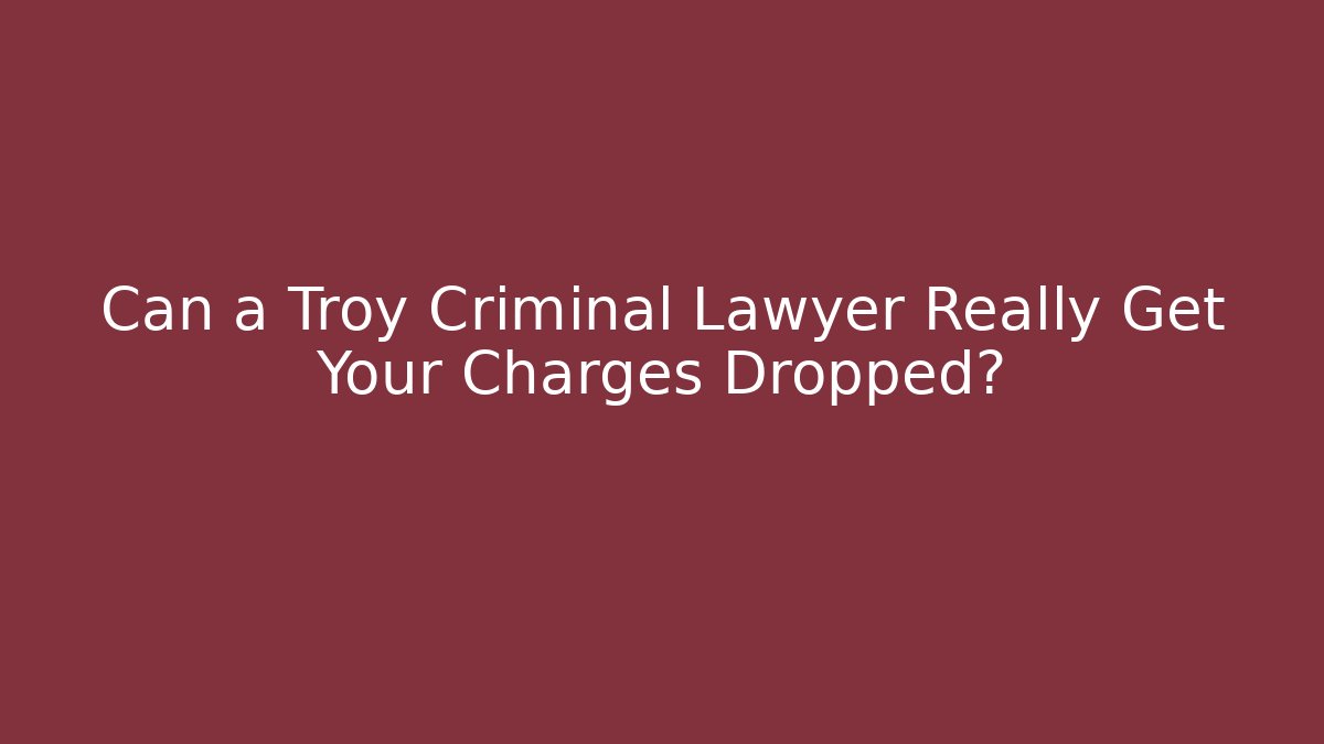 Can a Troy Criminal Lawyer Really Get Your Charges Dropped?