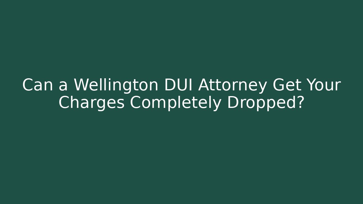 Can a Wellington DUI Attorney Get Your Charges Completely Dropped?