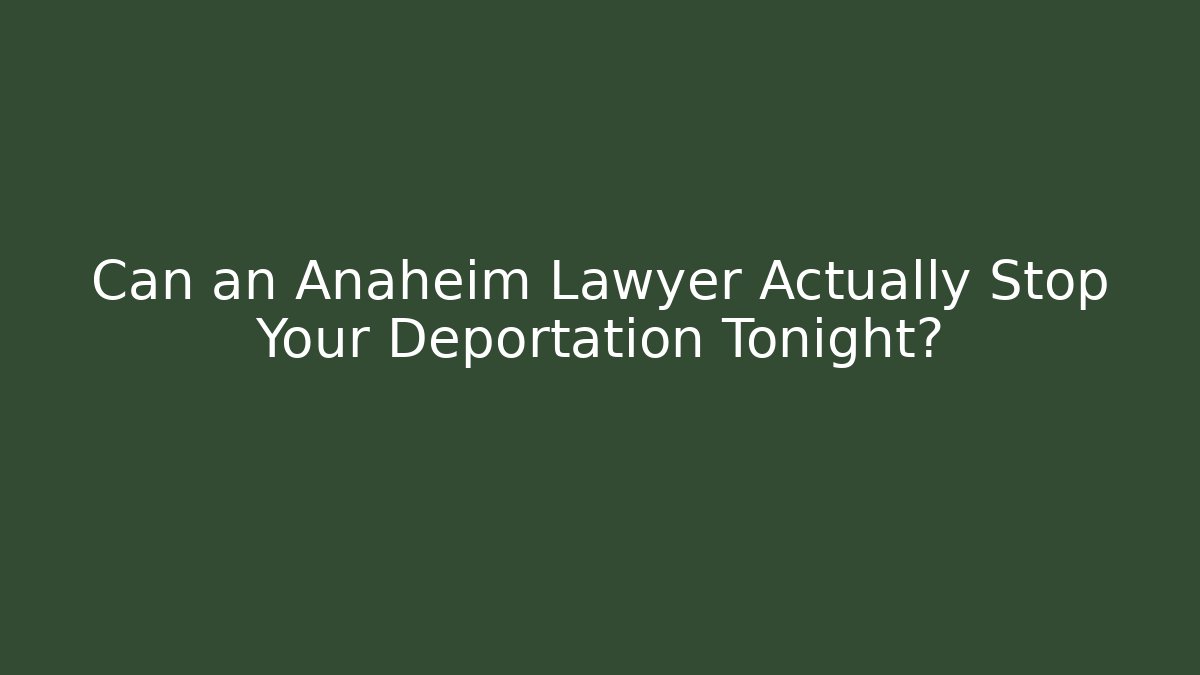 Can an Anaheim Lawyer Actually Stop Your Deportation Tonight? - WealthxGroup