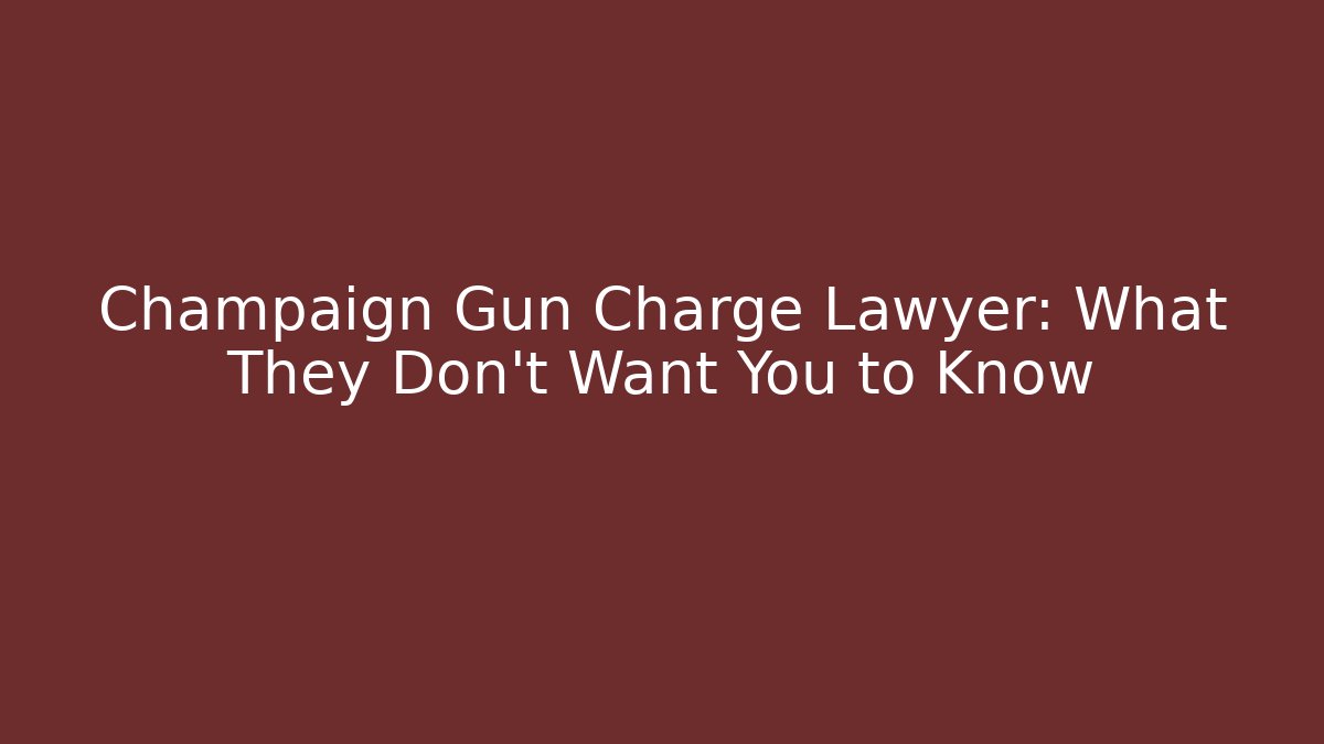 Champaign Gun Charge Lawyer: What They Don't Want You to Know
