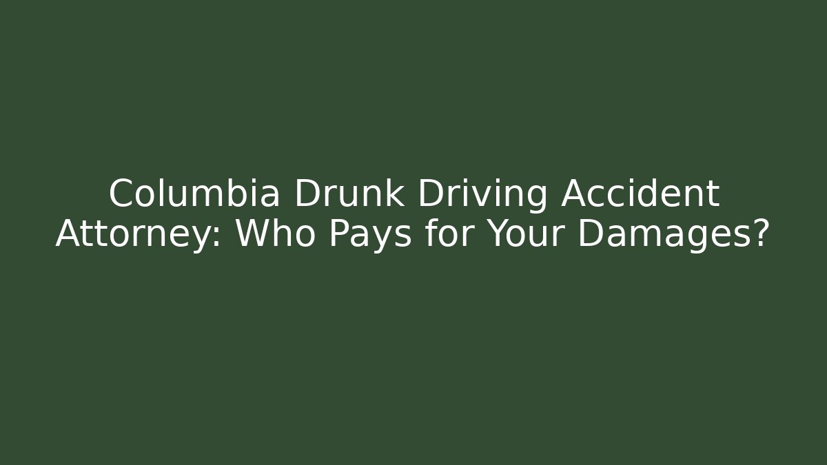 Columbia Drunk Driving Accident Attorney: Who Pays for Your Damages?