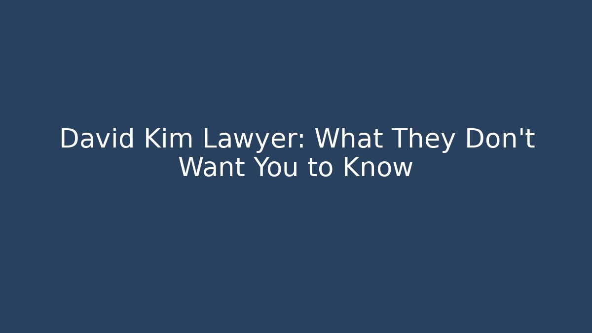 David Kim Lawyer: What They Don't Want You to Know