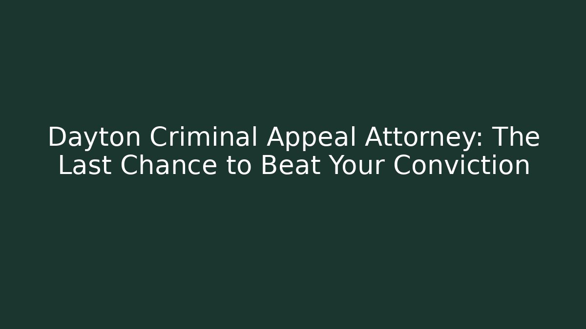Dayton Criminal Appeal Attorney: The Last Chance to Beat Your Conviction