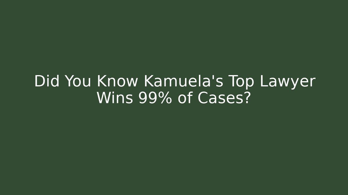 Did You Know Kamuela’s Top Lawyer Wins 99% of Cases?