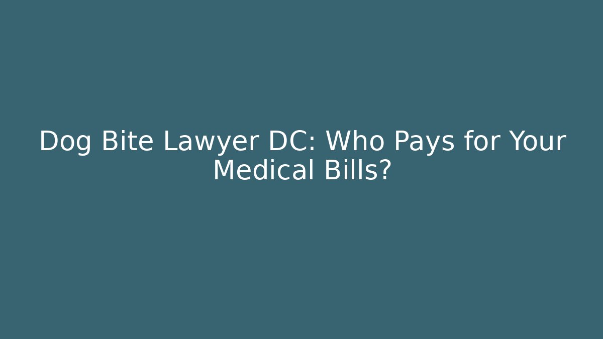 Dog Bite Lawyer DC: Who Pays for Your Medical Bills?