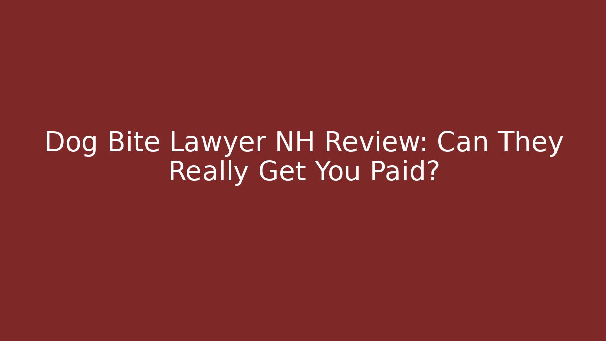 Dog Bite Lawyer NH Review: Can They Really Get You Paid?