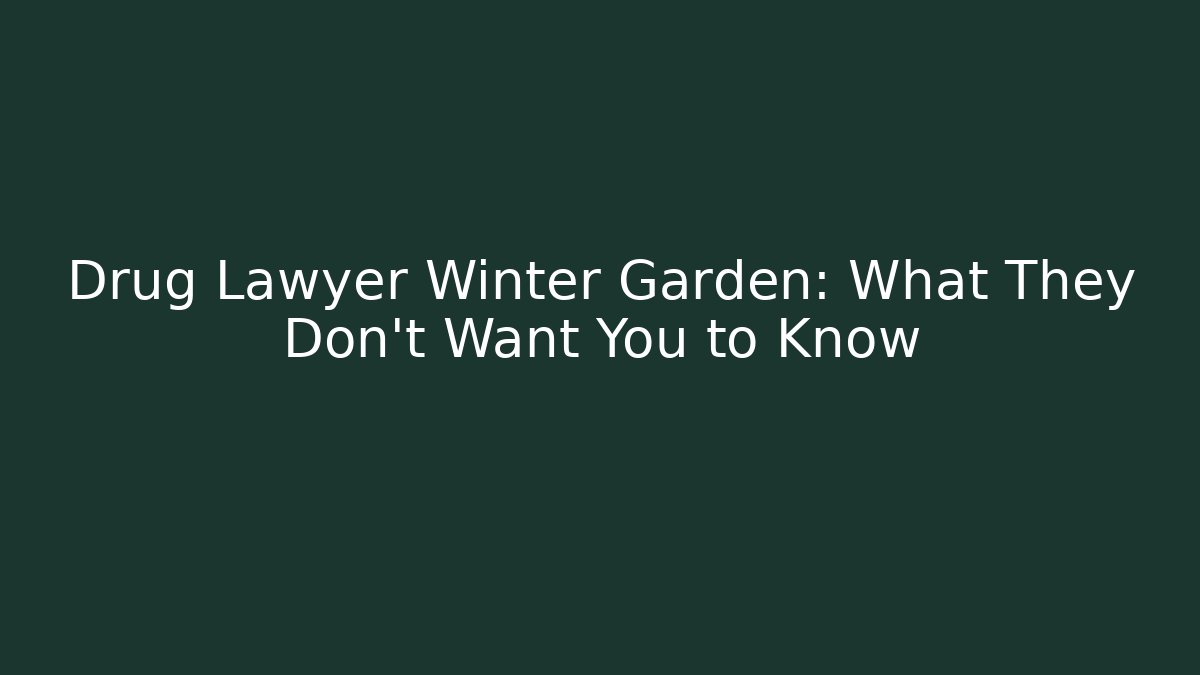 Drug Lawyer Winter Garden: What They Don’t Want You to Know