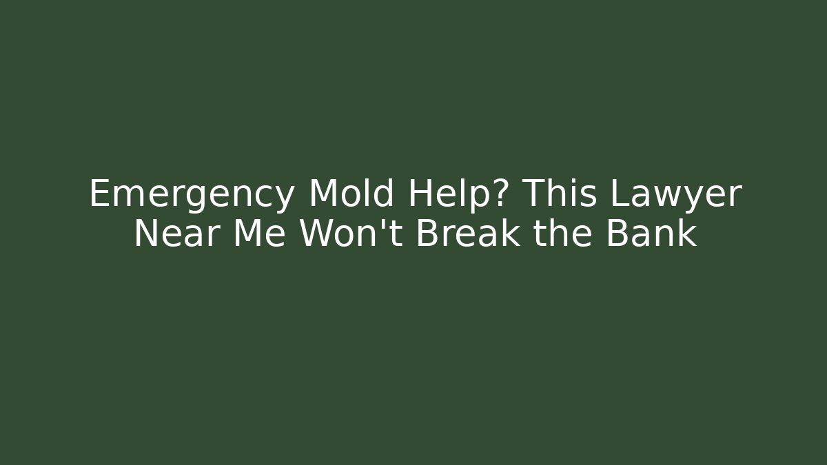Emergency Mold Help? This Lawyer Near Me Won't Break the Bank