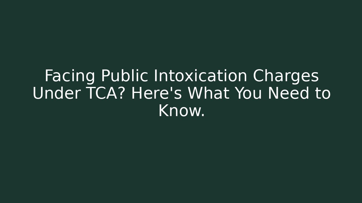 Facing Public Intoxication Charges Under TCA? Here’s What You Need to Know.