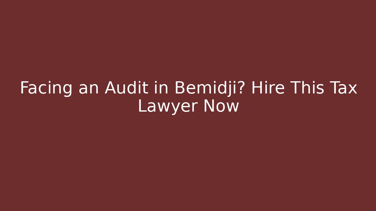 Facing an Audit in Bemidji? Hire This Tax Lawyer Now