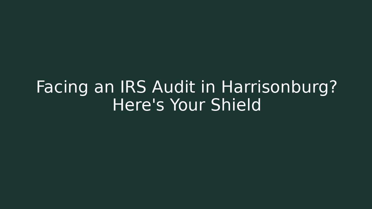 Facing an IRS Audit in Harrisonburg? Here's Your Shield - WealthxGroup