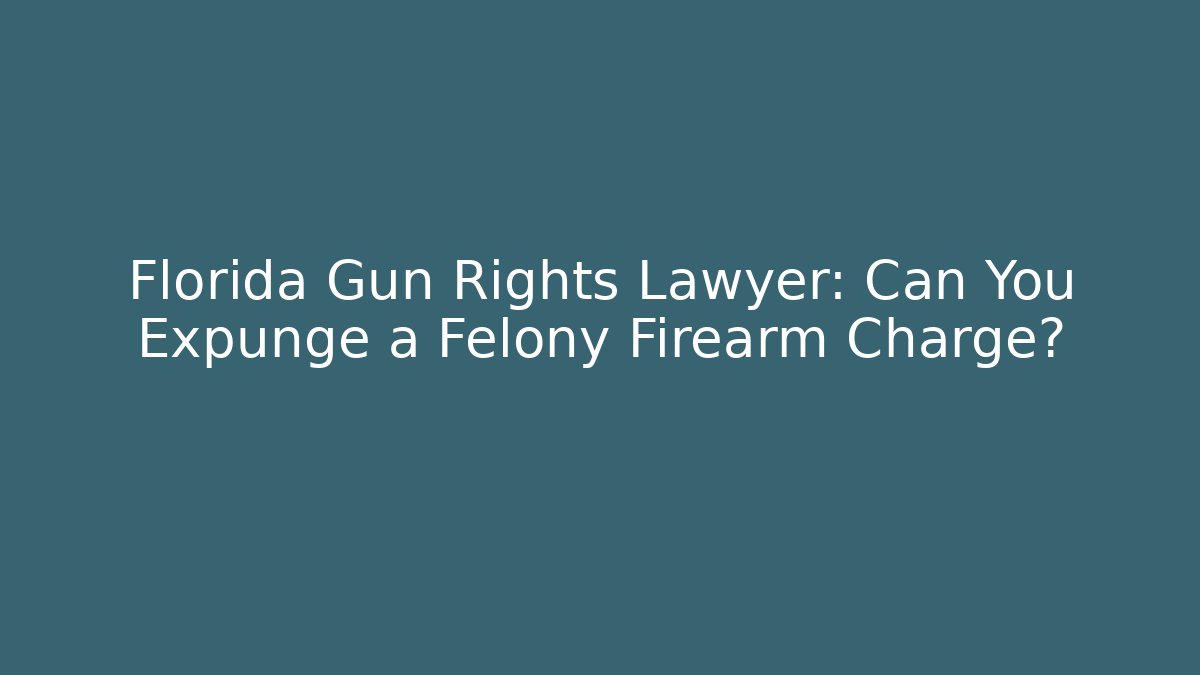 Florida Gun Rights Lawyer: Can You Expunge a Felony Firearm Charge?