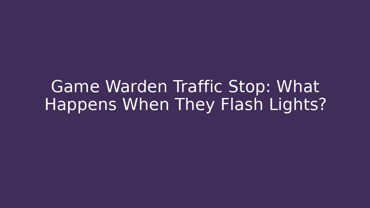 Game Warden Traffic Stop: What Happens When They Flash Lights?