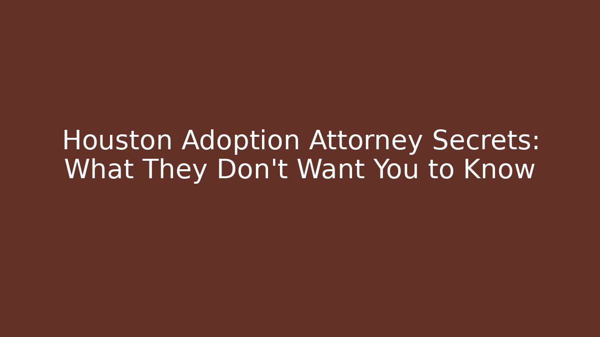 Houston Adoption Attorney Secrets: What They Don't Want You to Know