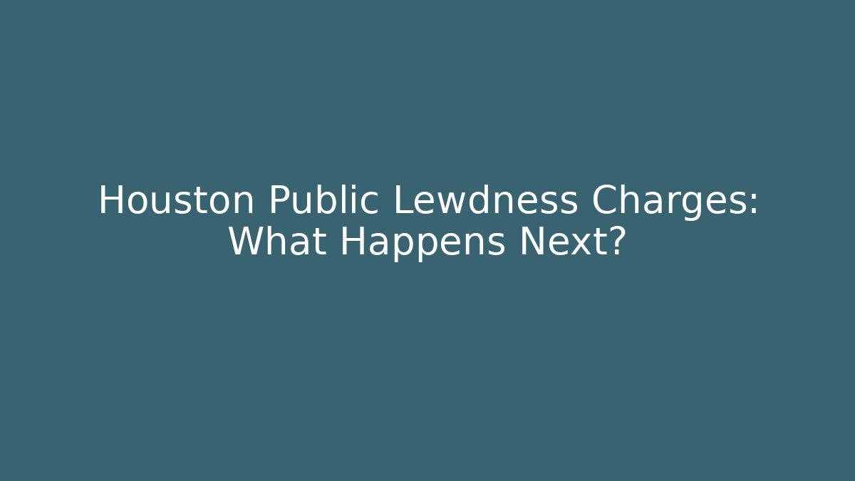 Houston Public Lewdness Charges: What Happens Next?