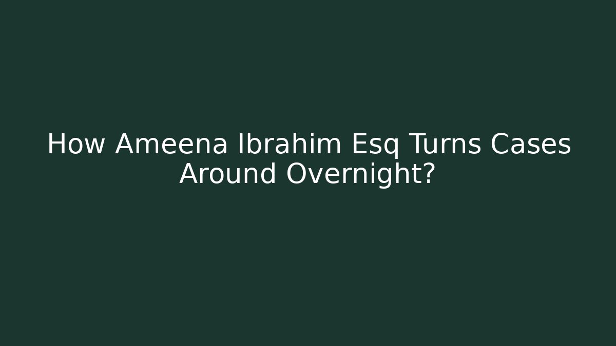 How Ameena Ibrahim Esq Turns Cases Around Overnight? - WealthxGroup