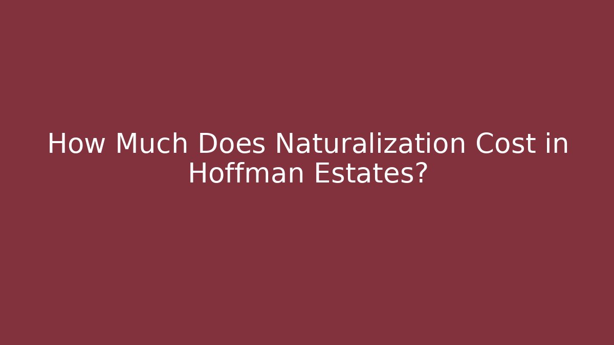 How Much Does Naturalization Cost in Hoffman Estates?