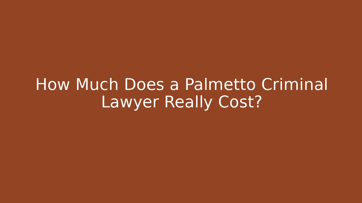 How Much Does a Palmetto Criminal Lawyer Really Cost?