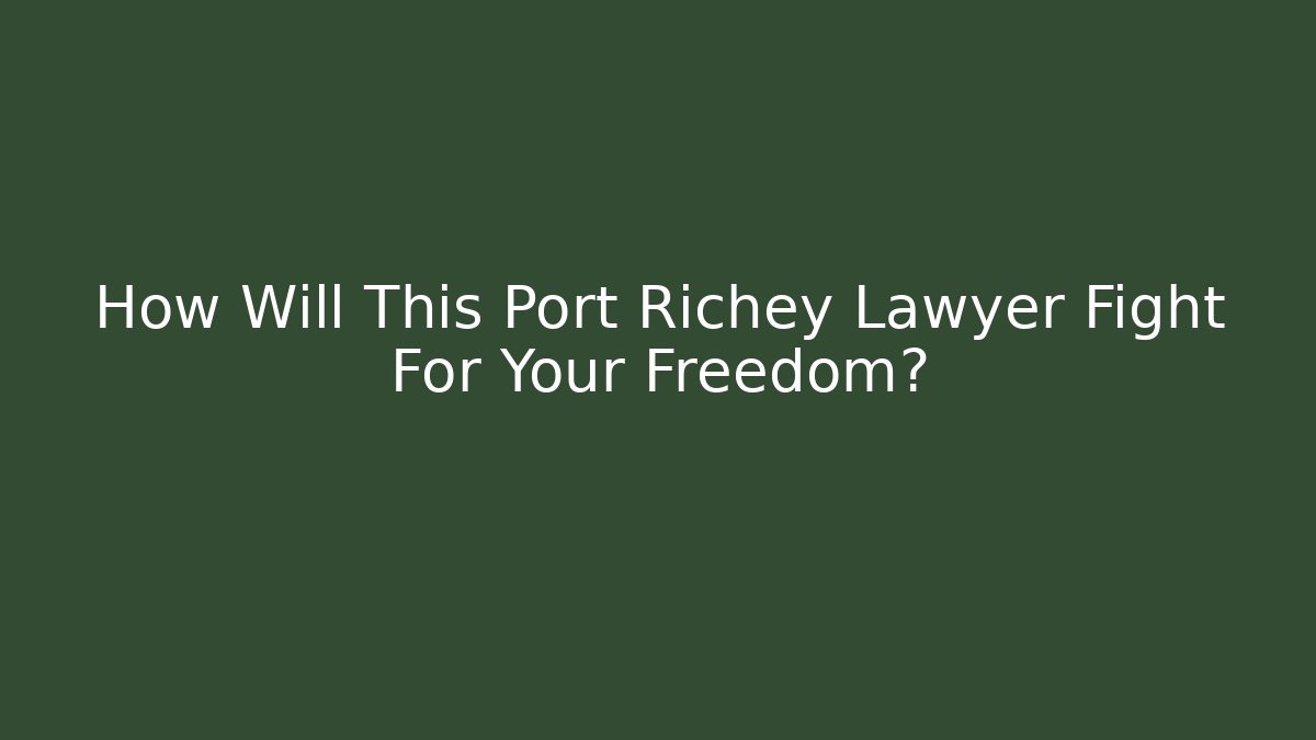 How Will This Port Richey Lawyer Fight For Your Freedom?