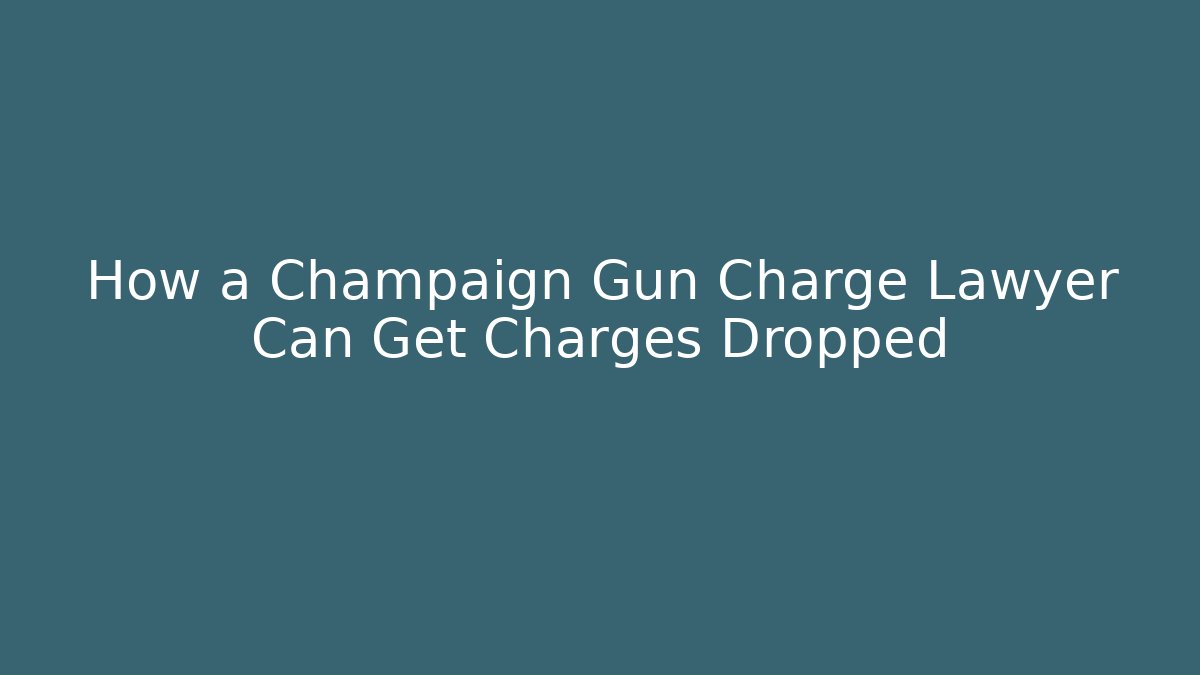 How a Champaign Gun Charge Lawyer Can Get Charges Dropped - WealthxGroup