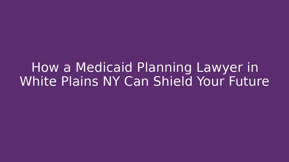 How a Medicaid Planning Lawyer in White Plains NY Can Shield Your Future