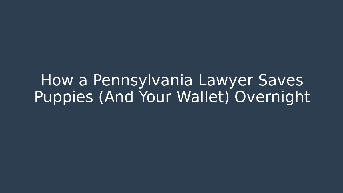 How a Pennsylvania Lawyer Saves Puppies (And Your Wallet) Overnight