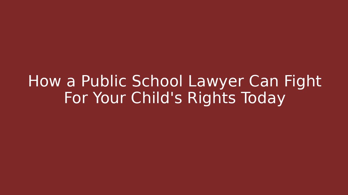 How a Public School Lawyer Can Fight For Your Child's Rights Today