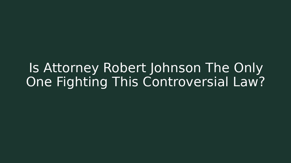 Is Attorney Robert Johnson The Only One Fighting This Controversial Law?
