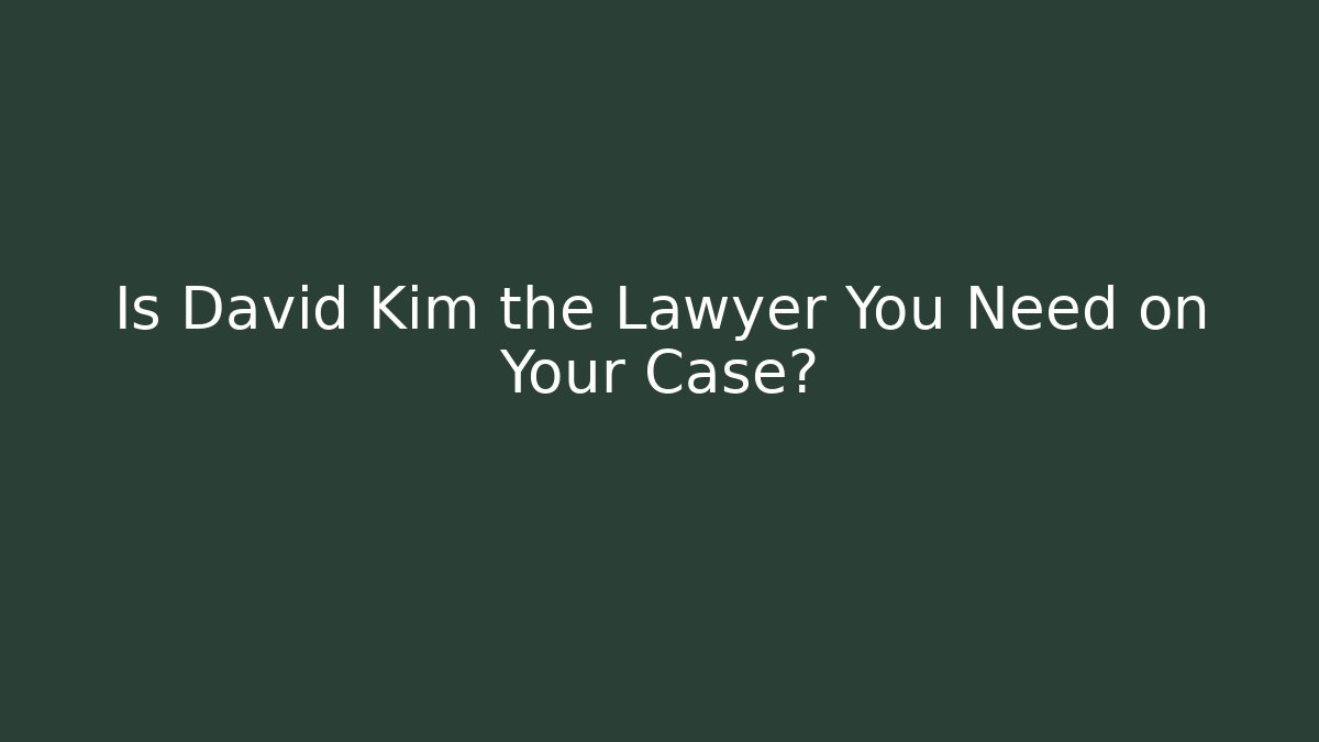 Is David Kim the Lawyer You Need on Your Case?