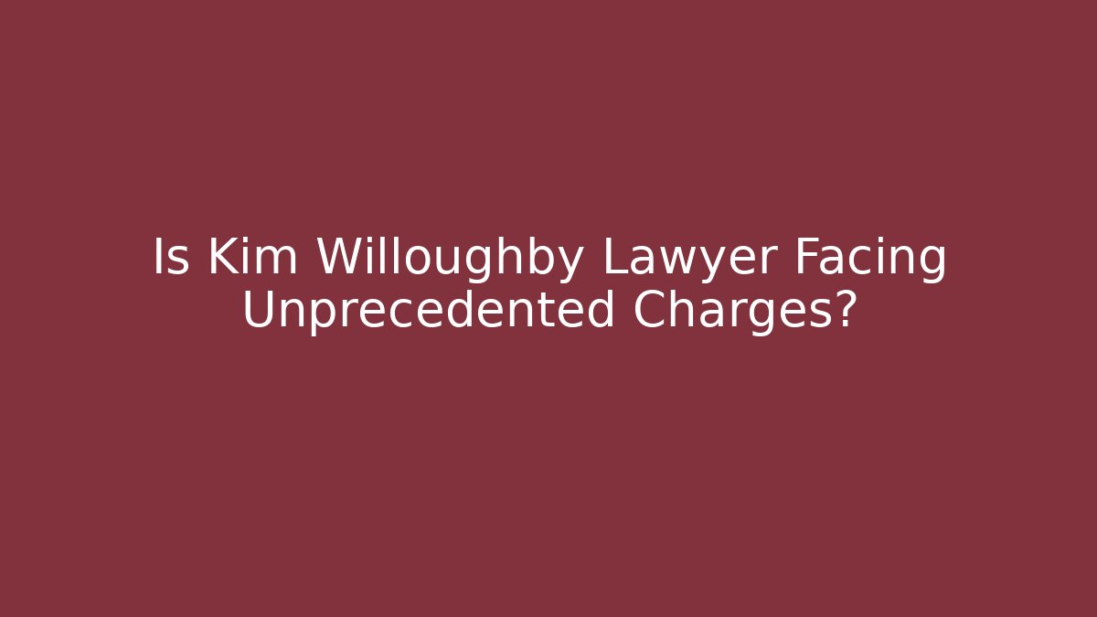 Is Kim Willoughby Lawyer Facing Unprecedented Charges?