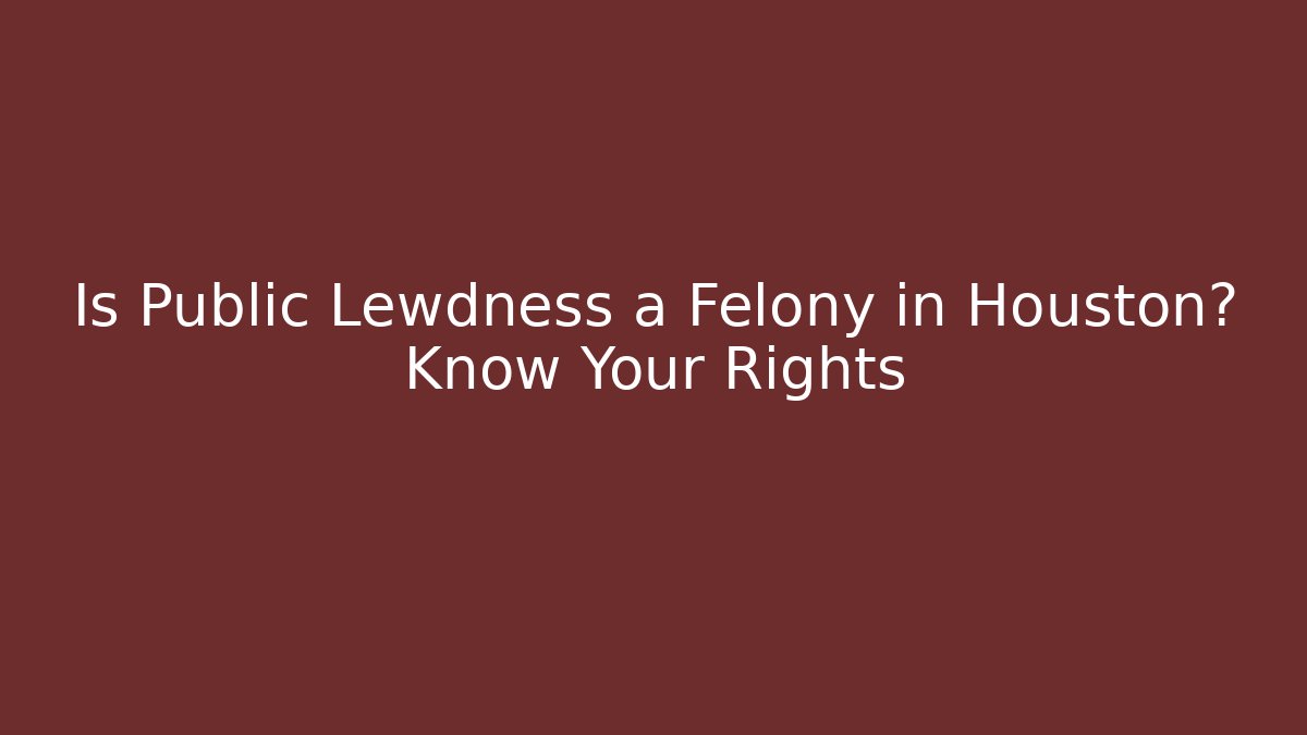 Is Public Lewdness a Felony in Houston? Know Your Rights