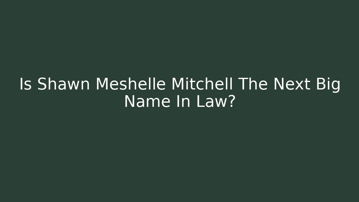 Is Shawn Meshelle Mitchell The Next Big Name In Law?
