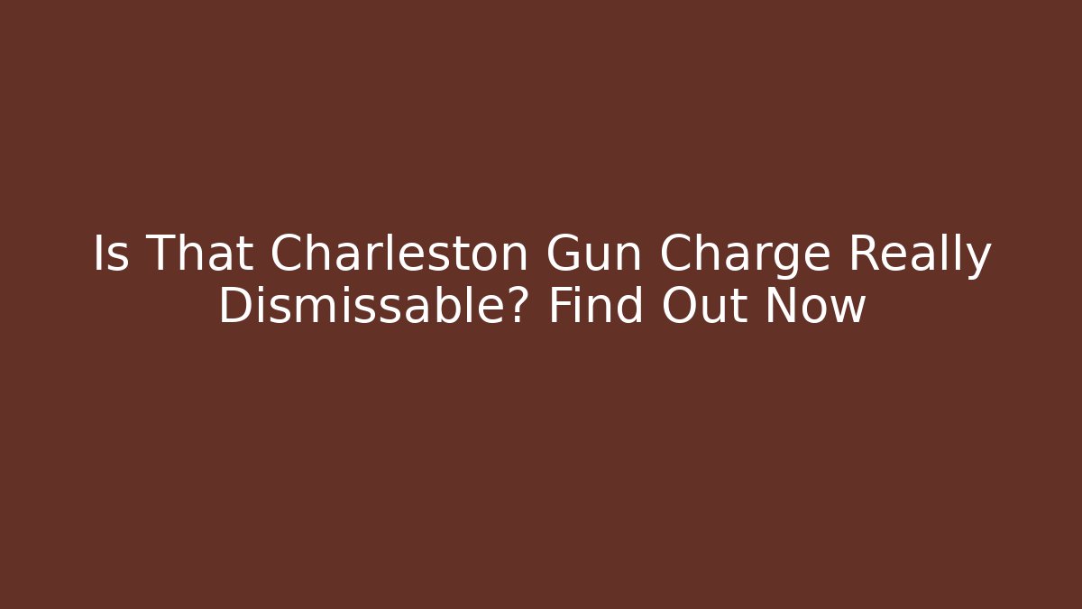 Is That Charleston Gun Charge Really Dismissable? Find Out Now